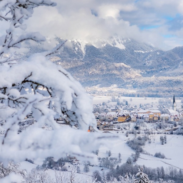 Excellent restaurants and inns in Radovljica area